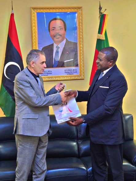 Cameroon–Libya: Yaoundé and Tripoli Explore the Revival of Air Links