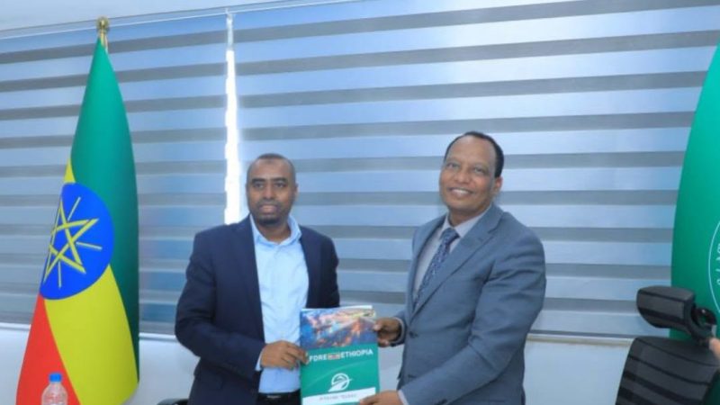 Ethiopia: Sadat Nesha Appointed Head of the Ministry of Logistics Amid Government Restructuring